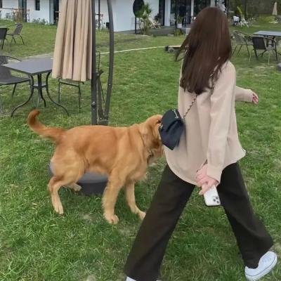 傲骨贤妻第六季 海报